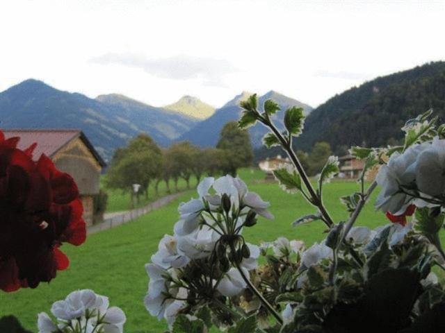Haus Friedl Hotel Kitzbuhel Ngoại thất bức ảnh